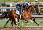 Jolie Olímpica estreia sábado em Santa Anita Park com transmissão da TV Turfe