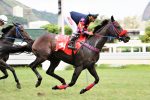 Galeria de Fotos – Confira os vencedores deste DOMINGO (02) no JCB