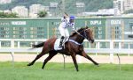 Um craque de nome Royal Ship reina soberano no GP Estado do Rio de Janeiro (G1)