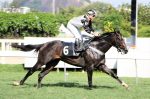 It’s Well impressiona na P.E. Old Master