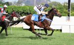 Invicta, Neuselly vence a P.E. No Regrets