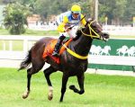Domingo é dia do Derby Brasileiro e do GP Zélia Gonzaga Peixoto de Castro