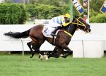 Aconteceu – Mais Que Bonita, belo triunfo no GP Henrique Possolo (G1)
