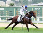 Royal Ship corre G1 em Santa Anita, com transmissão ao vivo da Tv Turfe
