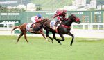 Atropelada irresistível de Olympic Jolteon no GP Francisco E. de P. Machado (G1)