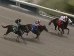 De ponta a ponta, Wind Of Change vence forte allowance em Gulfstream Park