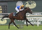 GP Latinoamericano e sua história – Tetaze – 2020 – San Isidro – Argentina