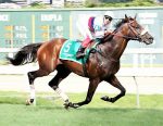 Ratings e médias das provas clássicas disputadas no Hipódromo da Gávea