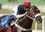 Turfe perde Desejado Thunder