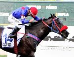 Aconteceu – Um espetáculo de Glory Boy no GP Presidente da República (G1)