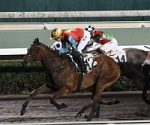 Vagner Borges vence páreo de cinema em Hongk Kong