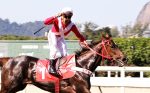 Galeria de Fotos – Confira os vencedores deste DOMINGO (31) no JCB