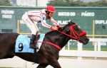 Galeria de Fotos – Confira como foi o DOMINGO (07) no JCB