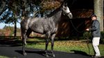 Arrogate desfalca precocemente a criação norte-americana