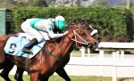 Galeria de Fotos – Confira os vencedores deste DOMINGO (12) no JCB