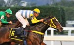 Mais Que Bonita supera Hacienda no GP Onze de Julho (G2)