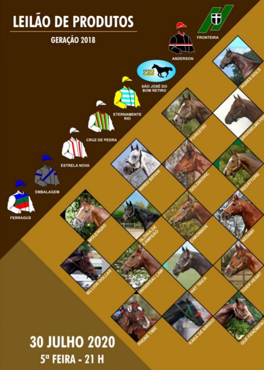 O atributo alt desta imagem está vazio. O nome do arquivo é leilao.jpg