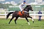 Pedigrees da semana: George Washington e Olympic Icecream
