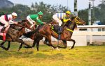 Pedigree da semana: Mais Que Bonita