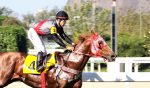 Galeria de Fotos – Confira os vencedores deste DOMINGO (09) no JCB