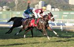 Invicta e a caminho do Suckow, In Essence vence o GP Costa Ferraz (G3)