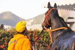 Galeria de Fotos – Confira os vencedores desta TERÇA (11)