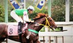 Galeria de Fotos – Confira os vencedores deste DOMINGO (16) no JCB