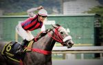 Dominante, If Looks Like segue líder com vitória no GP Francisco V. de P. Machado (G2)