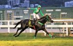 Jackson Pollock, uma obra de arte no GP Jockey Club Brasileiro (G1)