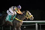 Em bela direção de Bruno Reis, American Tiz leva o GP Professor Nova Monteiro (G3)