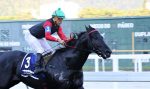 Dark Bobby, inalcançável no GP Presidente Vargas (G3)