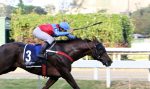 Ultimate Runner bate Olympic Icecream na milha do GP Mario de A. Ribeiro