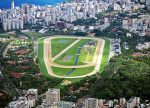 Programa com montarias para os dias 12 e 13 de DEZEMBRO de 2021