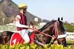 Pedigrees da semana: In Essence e Hacienda