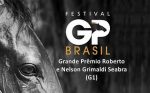 Mais Que Bonita é a força do “Brasil das éguas”