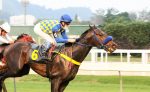Galeria de Fotos – Confira os vencedores desta SEGUNDA (07) no JCB