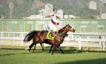Perigoosa e a glória do GP Roberto e Nelson Grimaldi Seabra (G1)
