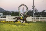 GP Brasil 2020 será sem presença de público