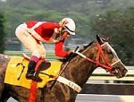 Stud H & R contrata Valdinei Gil
