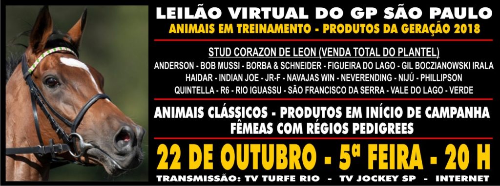 O atributo alt desta imagem está vazio. O nome do arquivo é 20201022gpsaopaulo-1024x382.jpg
