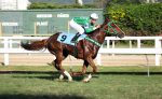 Galeria de Fotos – Confira os vencedores desta TERÇA (27)
