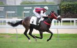 Galeria de Fotos – Confira os vencedores deste DOMINGO (04) no JCB