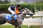 Galeria de Fotos – Confira os vencedores deste DOMINGO (11) no JCB