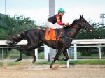 Em ótima marca, Dark Bobby conquista o bi do GP Salgado Filho (G3)