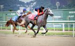 Galeria de Fotos – Confira os vencedores deste DOMINGO (01) no JCB