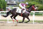 Galeria de Fotos – Confira os vencedores desta TERÇA (03)