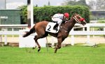 Galeria de Fotos – Confira os vencedores deste DOMINGO (08) no JCB