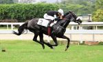 Hang Loose, vitória firme na P.E. Oscar Pacheco Borges