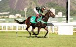 Galeria de Fotos – Confira os vencedores deste DOMINGO (29) no JCB