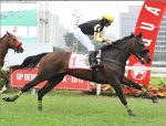SP: Own Them e In Society vencem o Derby e o Diana